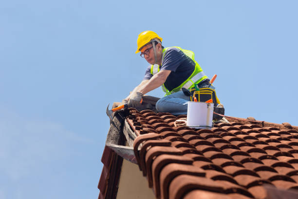 Best Roof Moss and Algae Removal  in Maurice, LA